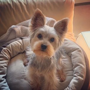 Meet your Posher, Alex